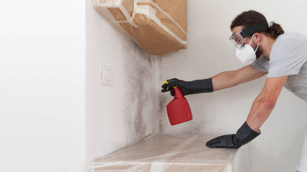Professional Bathroom Mold Removal technician working in Richmond, MN